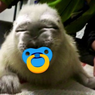 Im_Merky's profile picture. 𓇼 ⋆.˚ 𓆉 𓆝 𓆡⋆.˚ 𓇼