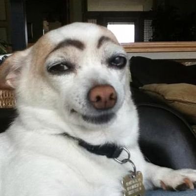 MirkoSteele's profile picture. 