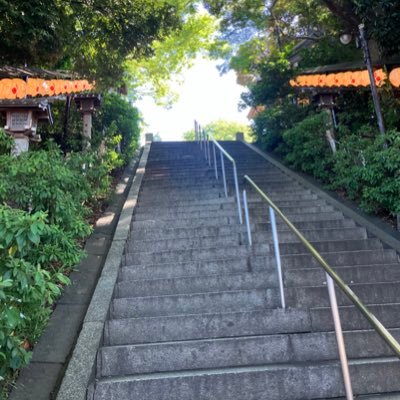 mameko00's profile picture. 成人済み。雑多垢。