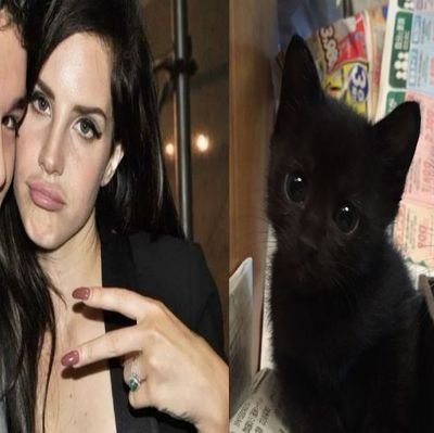 julialovesbts7's profile picture. 