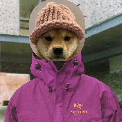 ArcteryxCapital's profile picture. So left its right