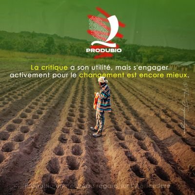 ProdubioCongo's profile picture. Un nouveau regard sur l'Agriculture au Congo🇨🇬, en mettant en avant la richesse de la terre 🌱.