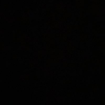 gizphoenix's profile picture. 