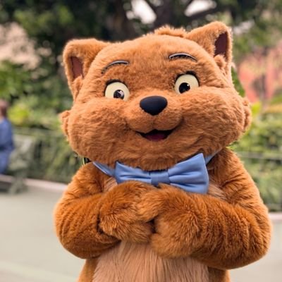 meowquack05's profile picture. 00 (25) 🚺／ トゥルーズ🐱  ドナルド🐥／Nikon🔰📸