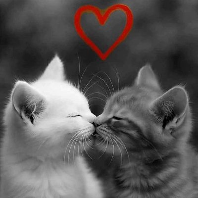 xesm9ty3ak's profile picture. よく言ったよりもよくやった方が良い