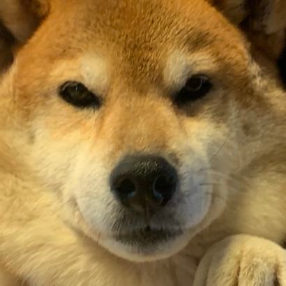 simauta1227's profile picture. 測量会社代表兼土地家屋調査士。元年金滞納スロカスニート。趣味はスキー、スノーボード、キャンプ、釣り。