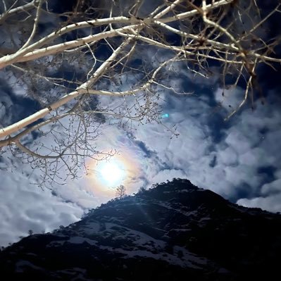 moretoview's profile picture. 