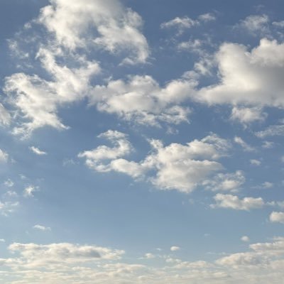 yayasalaba's profile picture. 