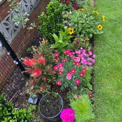 GHudson68422's profile picture. self motivated 💯🌹🥰