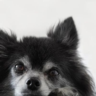 _Benn2025's profile picture. Community Custodian | Web3 | Benn2025™