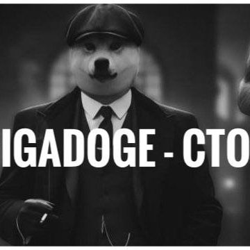 chadtgCTO's profile picture. 