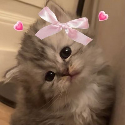 Somaya1450145's profile picture. heyyyyy!