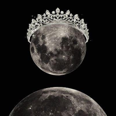 neseli1ogretmen's profile picture. Rebirth of Legend 🐦‍🔥💫