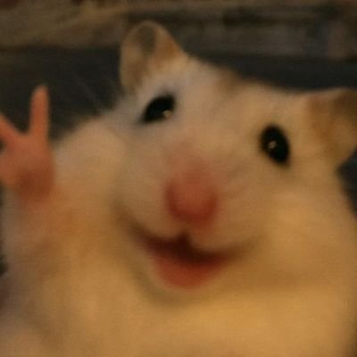 NanamineTooru's profile picture. Bored