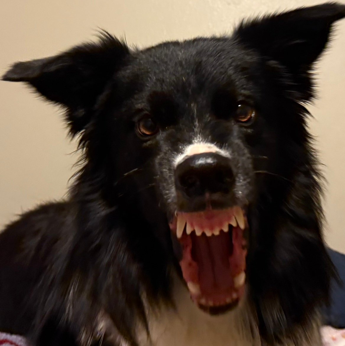 MichaelButts82's profile picture. 