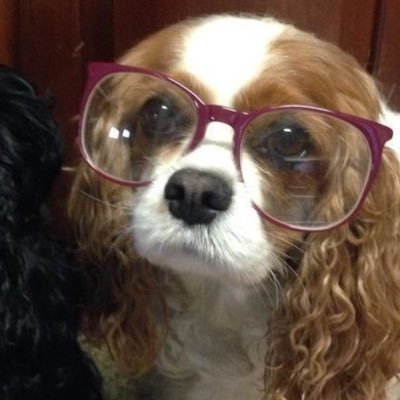 ilovelondonfog's profile picture. chatting about books and tea and my favorite things | cr: the fetishist by katherine min