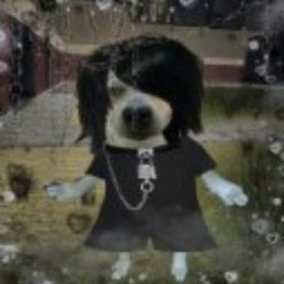 paodequeijjoo's profile picture. tudo zoeira