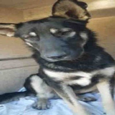 ebteater's profile picture. 