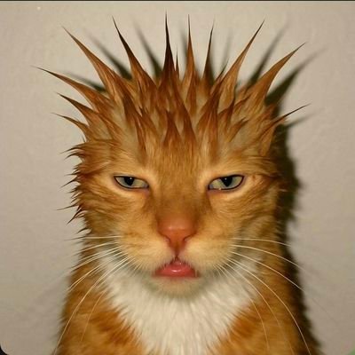 Cebola_Com_Uva's profile picture. ''You never know if you can fly unless you take the risk of falling''