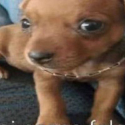 na9332478156378's profile picture. 