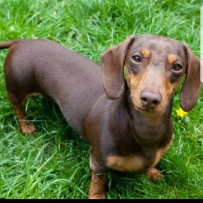 Orpeyemiii's profile picture. Emotions are feedback. Be stoic.