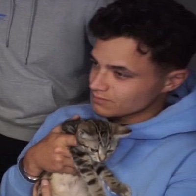 norcult's profile picture. 