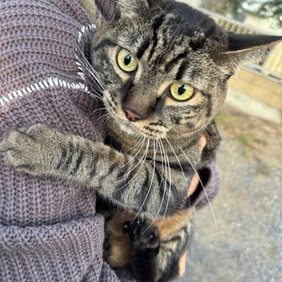 stk_naganuma's profile picture. 公休の確保は労働の生命である