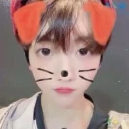 submissosoobin's profile picture. binario