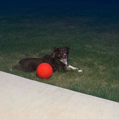 jeffcharles25's profile picture. The University of Texas-Austin Alumn. Follow me on Instagram @ tonjeff_05