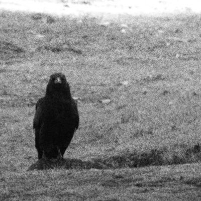 1mGrain's profile picture. The world, always in motion. | 道南の一瞬をカメラで切り取る | 飾りたくなる絵画のような写真を目指して活動中| ─ 1M Grain ─ Nikon × 道南 × 1 Moment