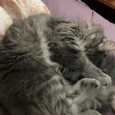 BeaudetteKate's profile picture. truth on social media,
Bond of love