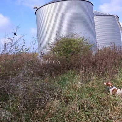 ktcrager's profile picture. Saving the earth one sewer line at a time. Go Cats.