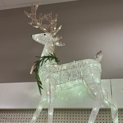 The_Cali3's profile picture. Wanderlust-love for Southeast Asia and Portugal. Electric car junkie—no speed limits, just freedom. Tropical soul with a green thumb. INSTA: mattjoe747