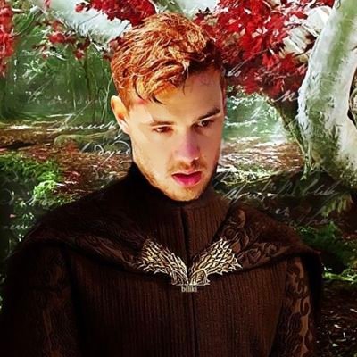 refswrld's profile picture. @LiamPayne 🤍🕊🦖 
spa/eng ▪︎ she/her ▪︎ music enthusiast