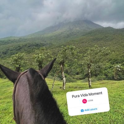 abdalaziz965's profile picture. حَرُم على النارِ كلُّ هيِّنٍ لينٍ سهلٍ قريبٍ من الناسِ