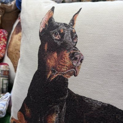 Philipwendle's profile picture. 