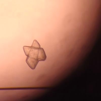 XLogosLoverX's profile picture. Ortho-dad Catechumen. New Zealander. Can be cringe.

Gidday