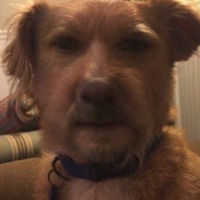 shuturburger's profile picture. they toss and turn to the sound of thunder, but I have a watermelon to soothe my slumber.