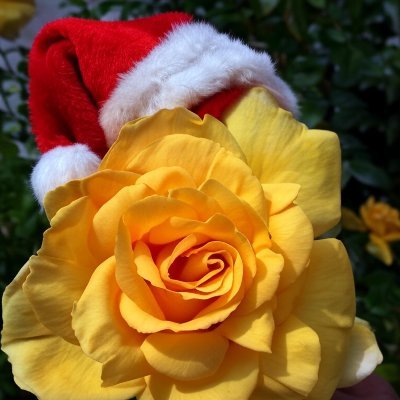 BiospiritWest's profile picture. Advocate for White Wellbeing

White Wellbeing Outreach Team @WWBOutreachTeam

Quora: https://t.co/Wgtm9xdbvc