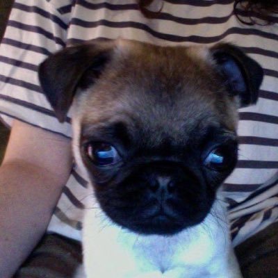 izrmissk's profile picture. ig: 7blushedd