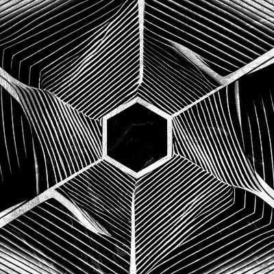 TontonDemon's profile picture. 