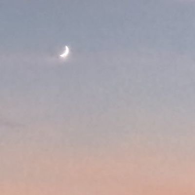 tsuyutanka's profile picture. 短歌とミステリが好きな見る専　本という媒体や文字が好き