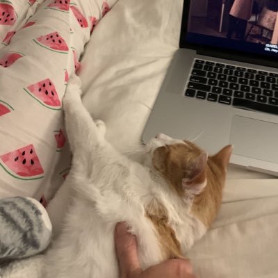 _xili7's profile picture. اللهم انِر قبر فقيدتي بنور الجَنه .