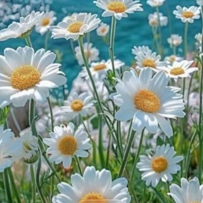 Kat20165766Kate's profile picture. The world won't be destroyed by those who do evil, but by those who watch them without doing anything. - Albert Einstein