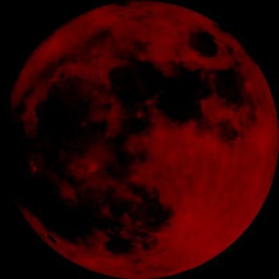 predicts25's profile picture. 🍃 insta - ppredictions