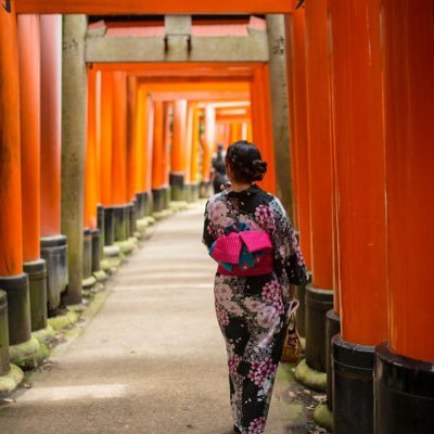 Romiko11334068's profile picture. 