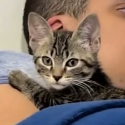 MurillloQ's profile picture. jornalista | chill out, whatcha yelling for?