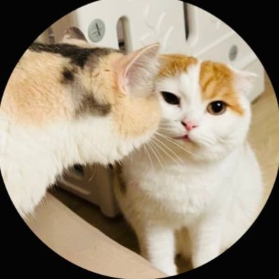 nickname_bkpp's profile picture. ซัพพอร์ต #bbillkin #ppkritt #maxky_rp #บาสเด็กอ้วนที่แท้จริง #6CODE #LFC #BASDEKUAN #ด้อมงุ้ย  #maxkybas #BasHatsanat