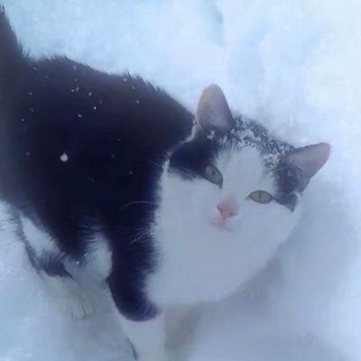 HTj7d's profile picture. 