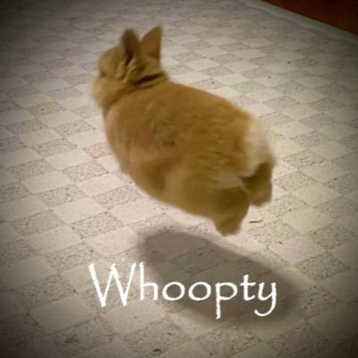 MacheteCS's profile picture. fuck my chungus life 🍉